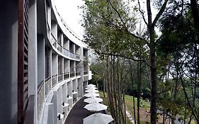 Sun Moon Lake Bamboo Rock Garden